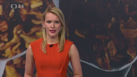 Horizont ČT24 - 4. ledna 2018