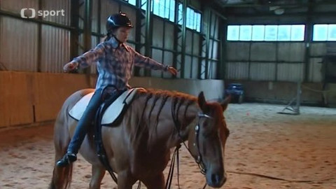 Sport v regionech - 6. června 2013