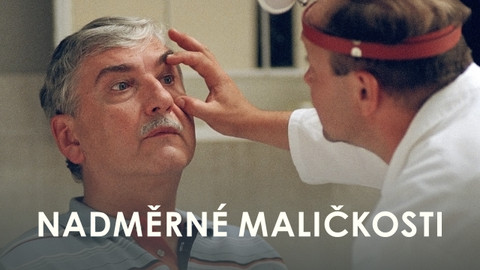 Nadměrné maličkosti