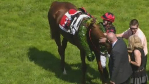 Jezdectví - České derby Chuchle