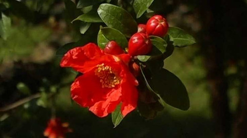 Objektiv - 23. září 2007