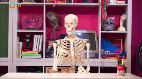 Nuly a jedničky - Matematičtí podvodníci