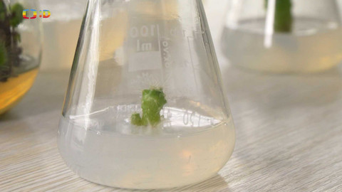 Zprávičky - 24. ledna