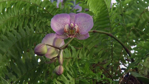 Polopatě - 13. února 2022