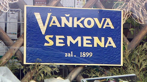 Z metropole - Vaňkovo semenářství