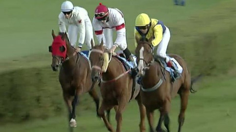 Jezdectví - Cena Jockey clubu České republiky