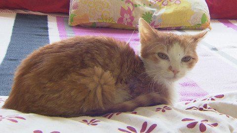 Chcete mě? - 5. června 2016