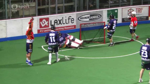 Lakros - Memoriál Aleše Hřebeského