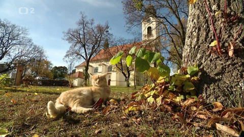 Křesťanský magazín - 20. listopadu 2022