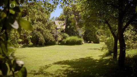 Kapka vody - Výhody nesekaných trávníků