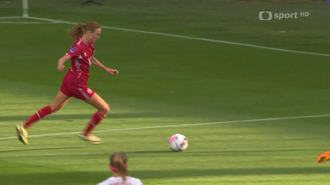 Fotbal - Dánsko - Česko