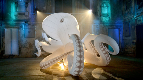 Divoké umění - 25/26 Chobotnice velká