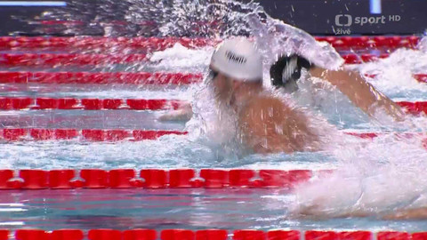 ME v plavání 2025 Polsko - ME 25 m Polsko