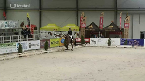 Jezdectví - Jezdecký festival v Lysé nad Labem