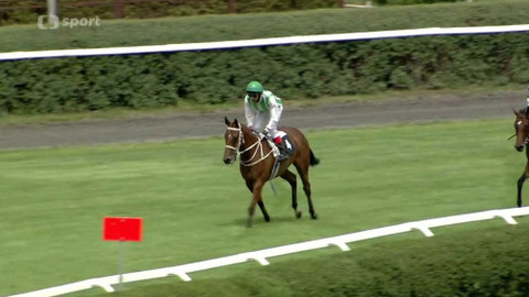 Dostihy - České derby 2018