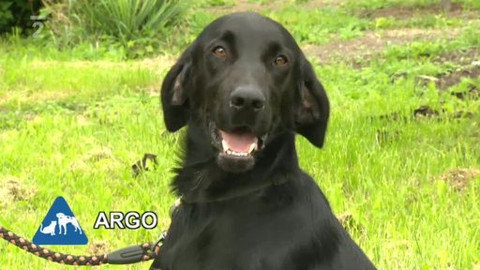 Chcete mě? - Chcete je?