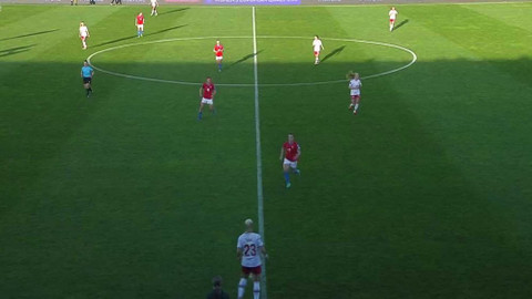 Fotbal - Česko - Dánsko