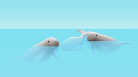 Leo, strážce přírody - Dugong indický