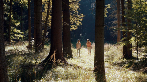 Kouzelné bylinky - Lékař léčí, les uzdravuje