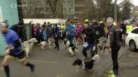 Sport v regionech - Ludgeřovická 15