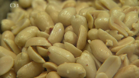 Černé ovce - 21. května 2024