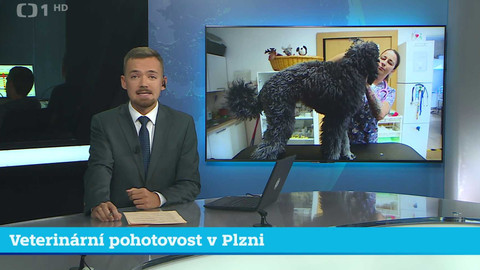 Události v regionech (jih a západ) - 31. července