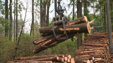 Týden v regionech (Ostrava) - 23. června 2018