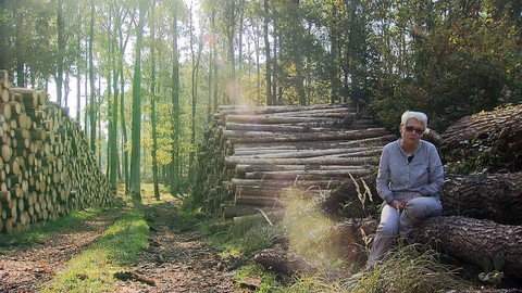 Nedej se! - Hranice zóny/zóny hranice