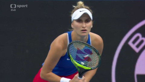 Billie Jean King Cup - Česko - Německo