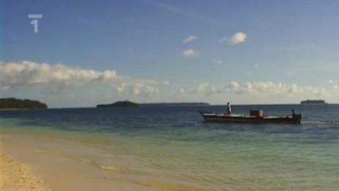 Zeměpis světa - Korálové útesy