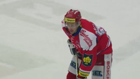 Buly hokej - HC MOUNTFIELD - HC Plzeň 1929