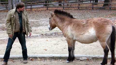 Máte mě! - 18. prosince 2011