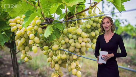 Horizont ČT24 - 22. června 2023