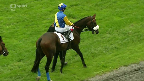 Dostihy - St. Leger