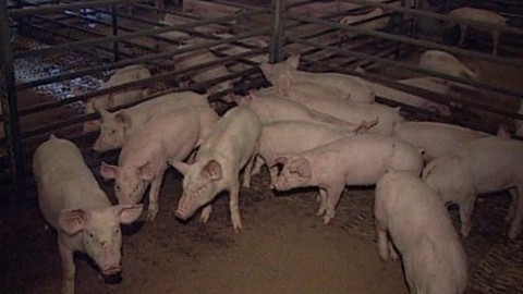 Reportéři ČT - 20. června 2005