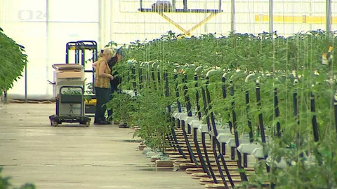 Regiony ČT24 - 12. března 2022