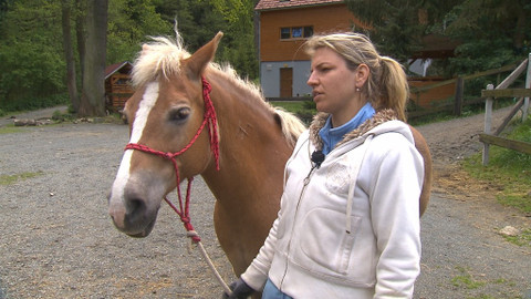 Chcete mě? - 11. září 2016