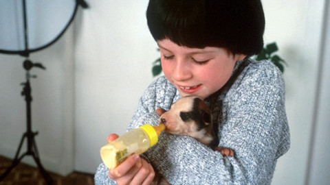 Můj mazlíček - 25/26 Doipo a jeho hospodářská zvířata