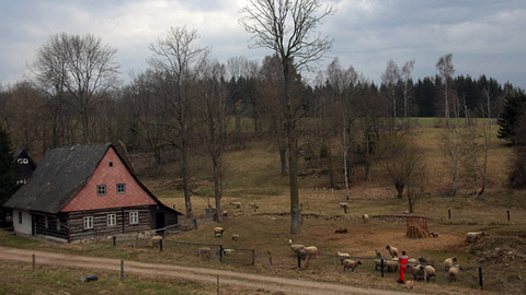 Na cestě - Na cestě po Orlických horách