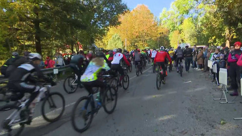 ČT Author Cup - ČT Author Cup