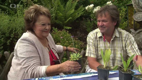 Hobby naší doby - 21. září 2019