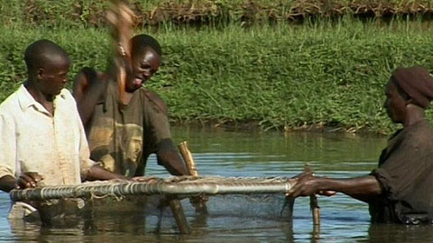 Naučte je chytat ryby