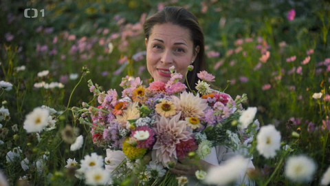 Herbář - 26. listopadu 2023