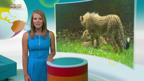 Zprávičky - 22. července 2017