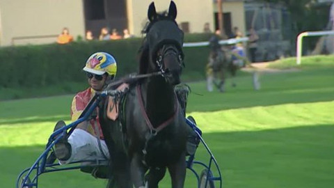 Jezdectví - České klusácké derby