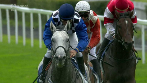 Dostihy - Dostihový den Pražské plynárenské