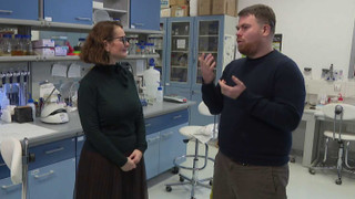 Televizní klub neslyšících