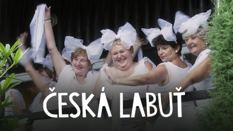 Česká labuť