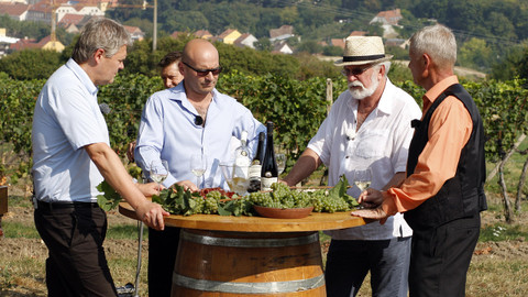 Vínečko - Vinice Knížecí vyhlídka