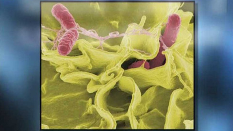 PORT - 25. dubna 2007